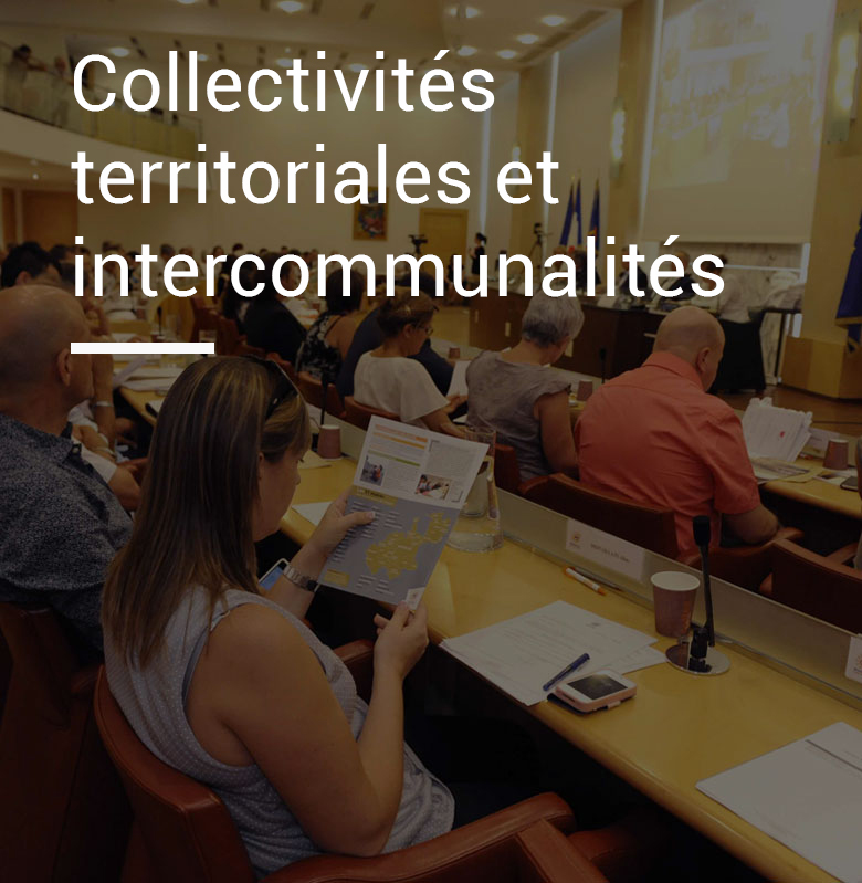 Collectivités-territoriales-et-intercommunalités-Schneider-Avocats-Montpellier