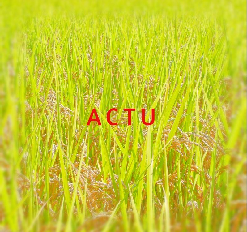 zone agricole PLU